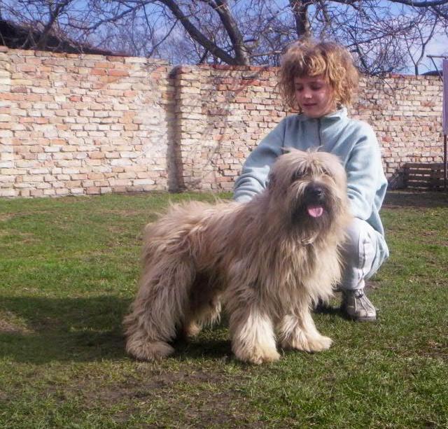Foto: Pyrenejsk� ov��k s dlouhou srst�-CHS: FARMA �T�KOT (�ert�kovi)