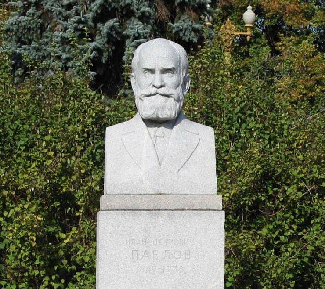 Foto: Ivan Petrovi� Pavlov