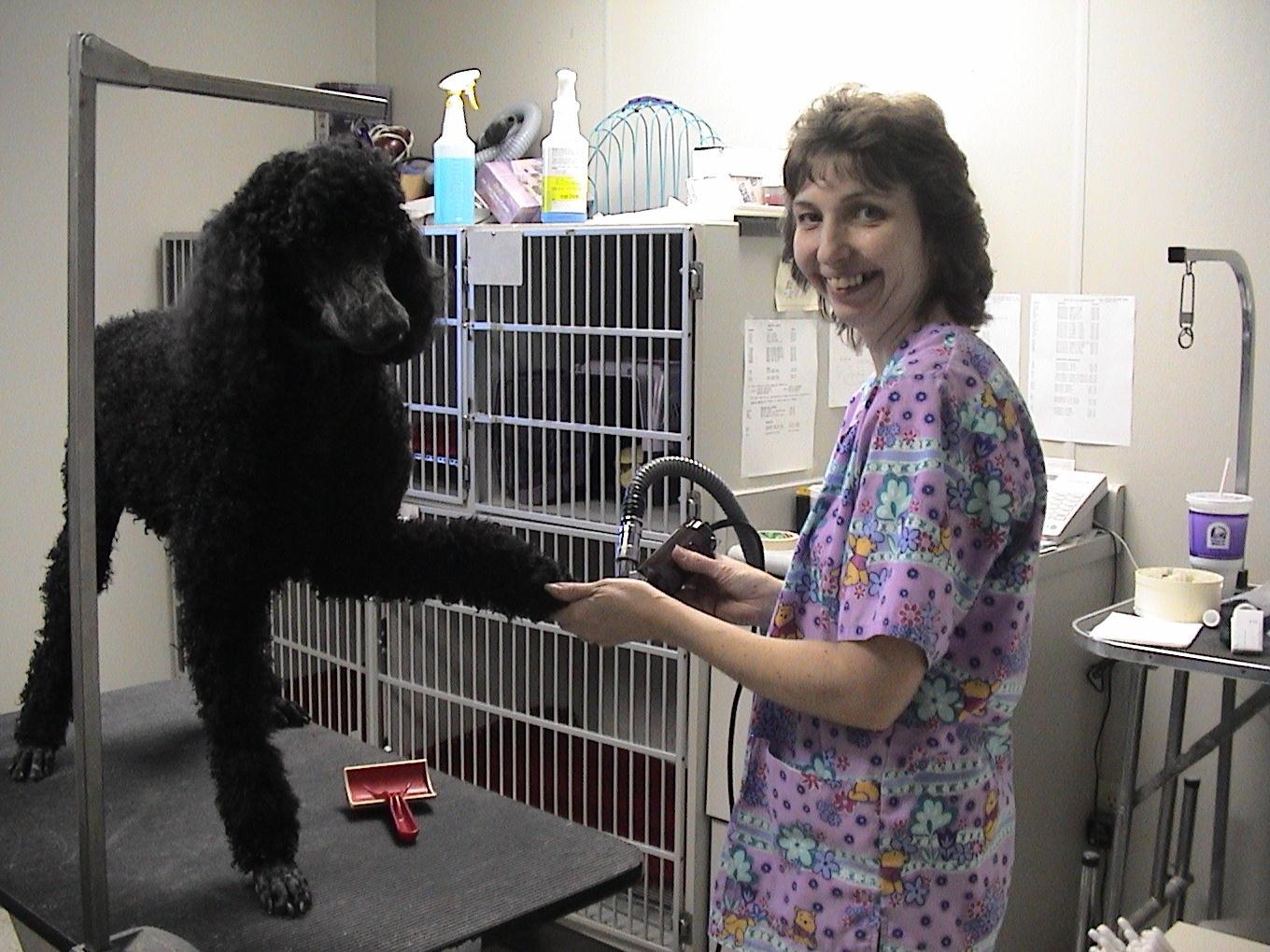 Fotky: Prevence nemoc� ps� (foto, obrazky)