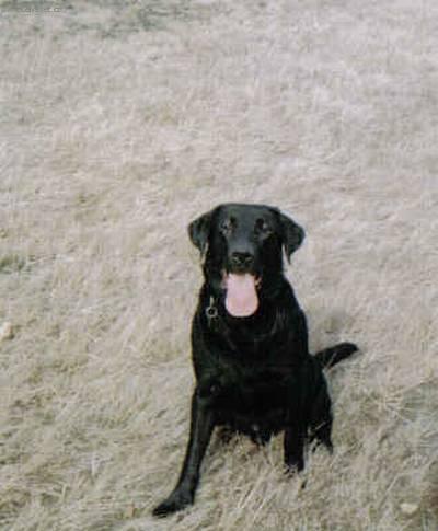 Fotky: Retr�v�i (foto, obrazky)