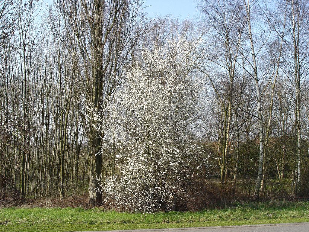 Foto: Trnka Obecn�