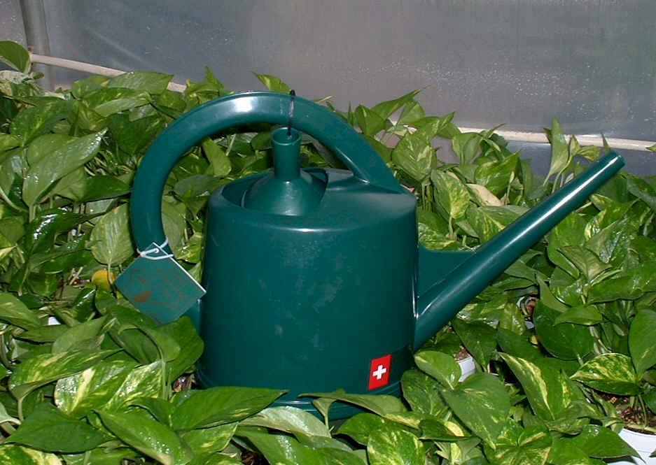 Fotky: Z�livka rostlin (foto, obrazky)