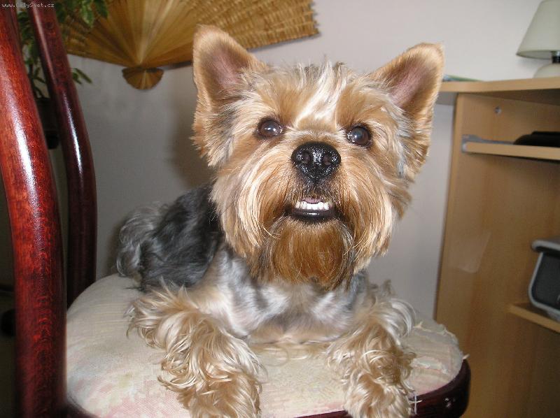 Foto: ricci-�sm�v:o)