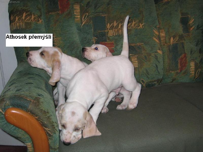 Foto: jdeme do sv�ta