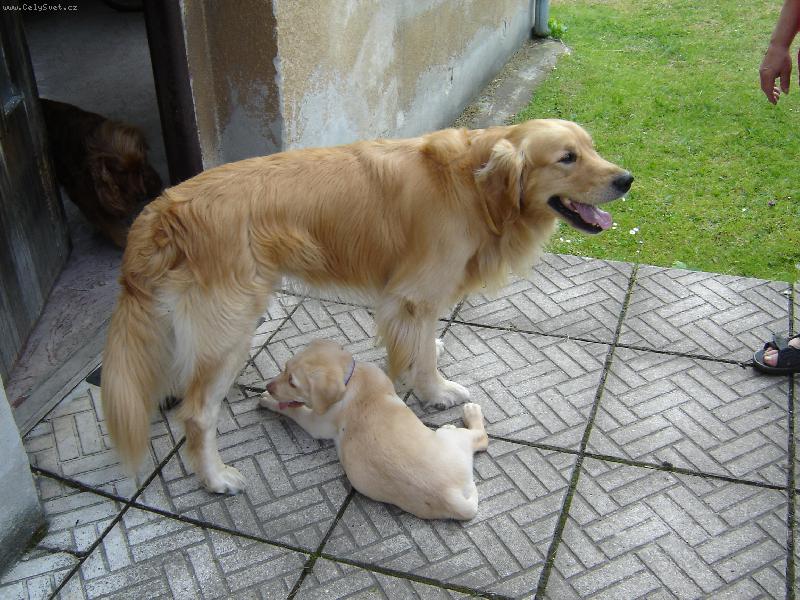 Foto: Charlie