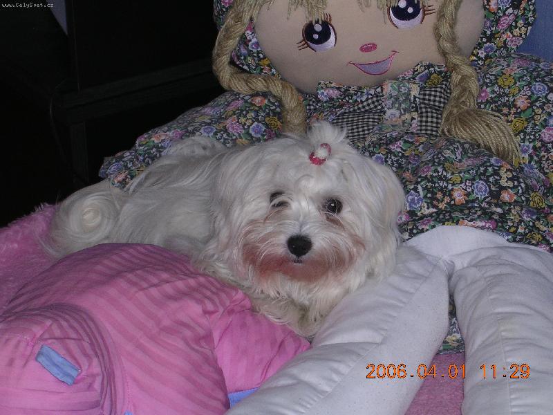 Foto: Ami
