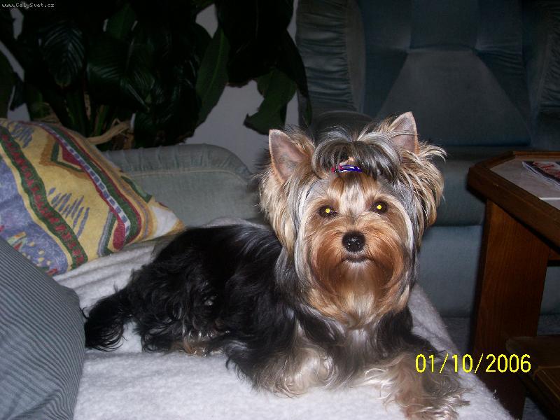 Foto: Bessy