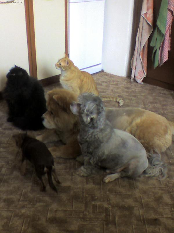 Foto: sme�ka-m�am m�am ... kr�j� se mas��ko .... upadne n�co a nebo ne? :-)