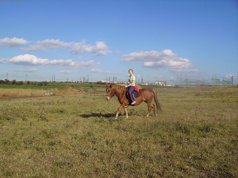 Foto: kon�-huculka B�ra-honem pry� z dosahu fo��ku!!