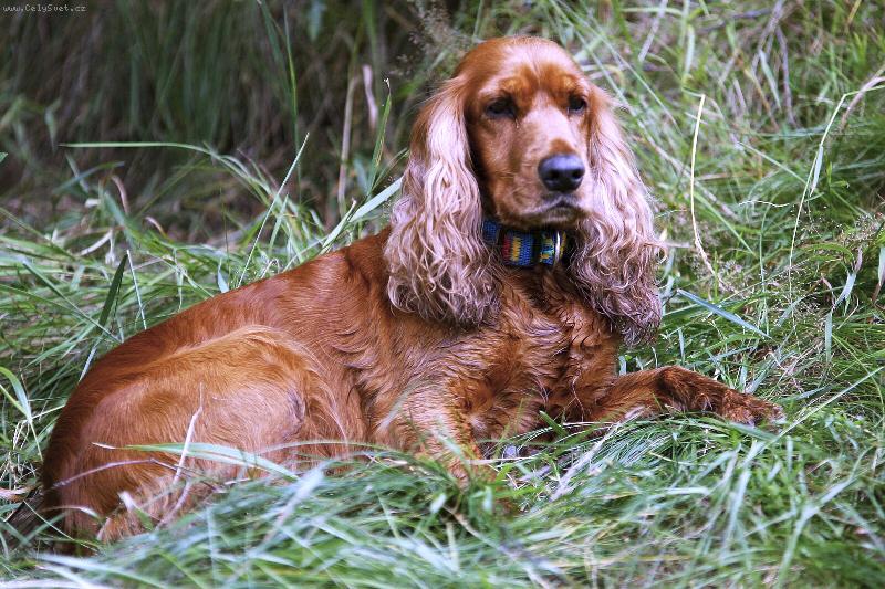 Foto: Bettina-Co tam v t� vod� d�laj�?