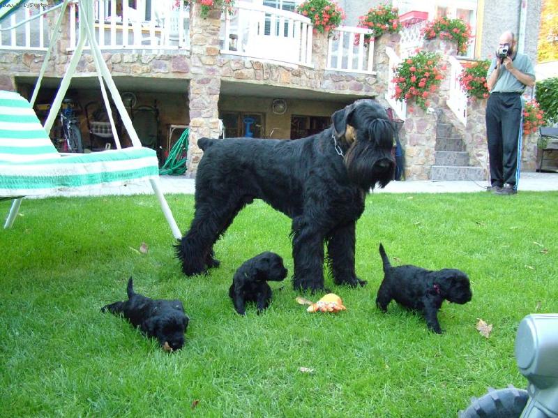 Foto: www.slunecnipaprsek.com-Jsem na V�s py�n�.