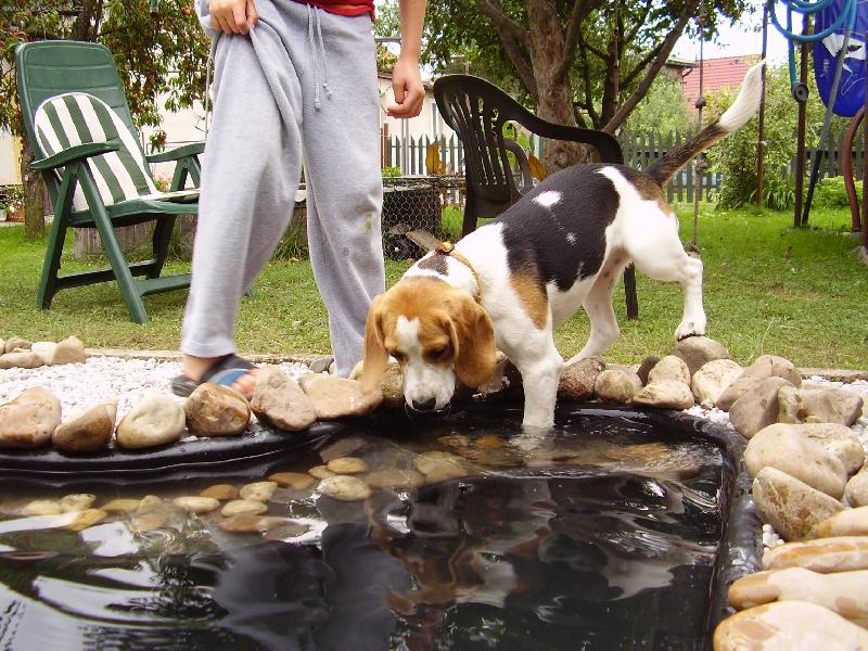 Foto: En-Eny objevuje vodu