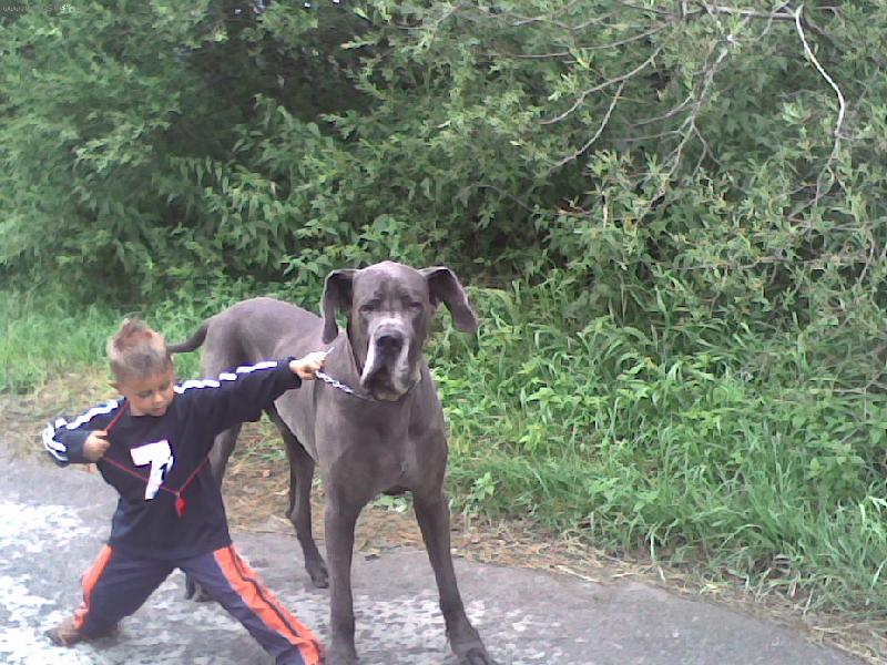 Foto: Bond�k-J� a m�j br�cha