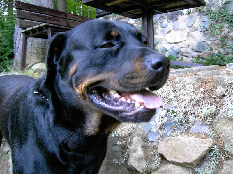 Foto: Dine�ek-...a vykoupanej :)))