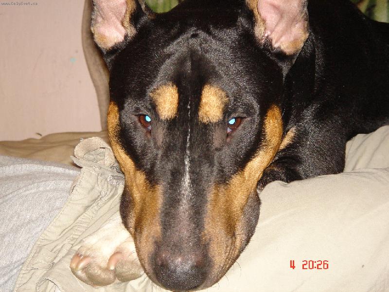 Foto: Apollo-Pro�pak m� bud�te???