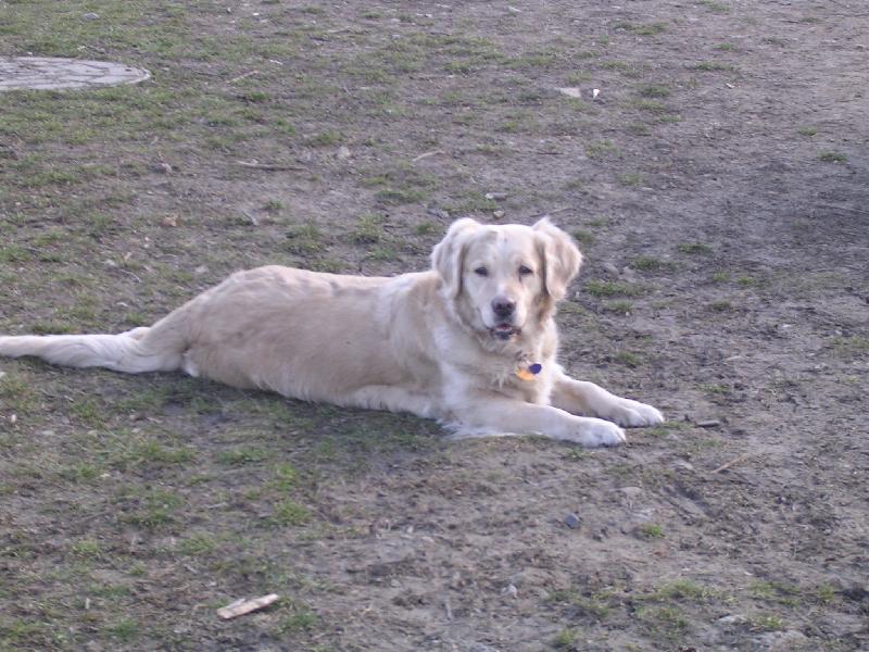 Foto: a zase Kesi-�unisko