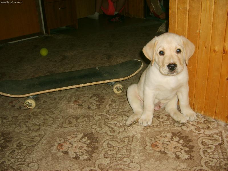 Foto: skater Axel
