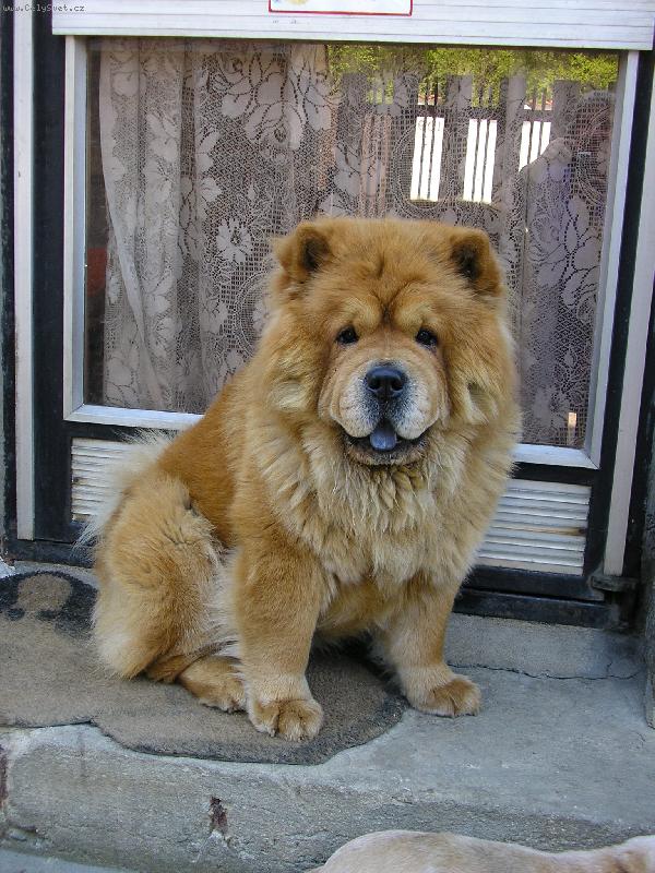 Foto: Tady hl�d�m j�....