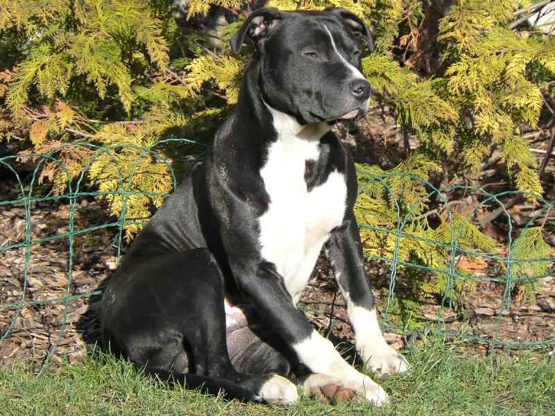 Foto: Arny 7. m�s�c�