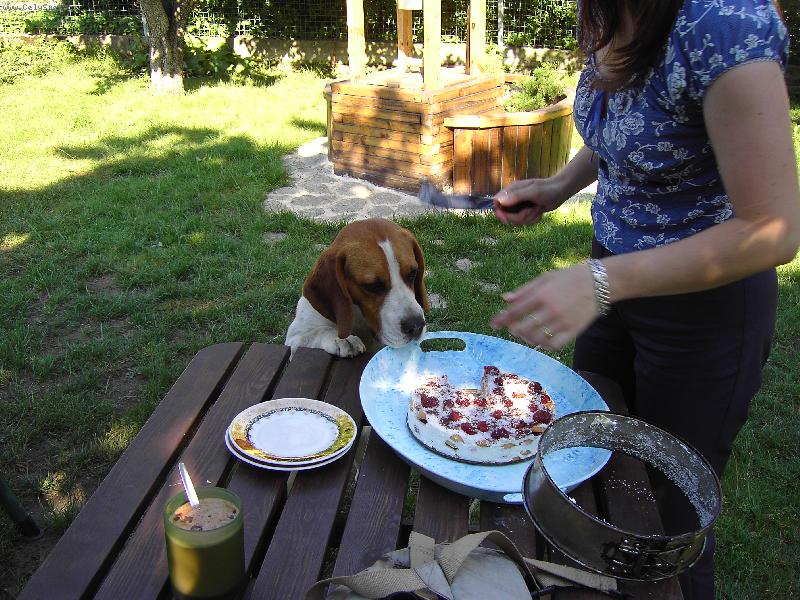 Foto: j� chci taky dort��ek