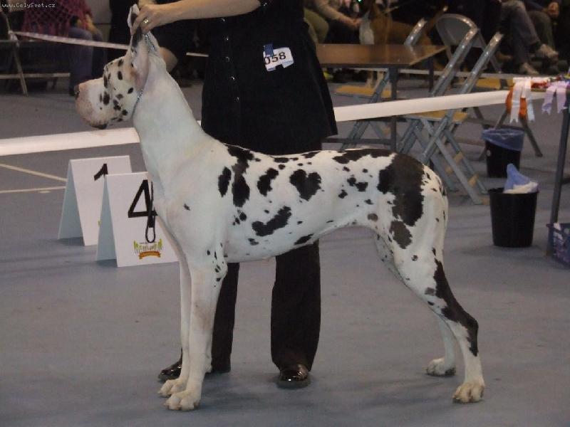 Foto: Billy Jean Quincy Etc.