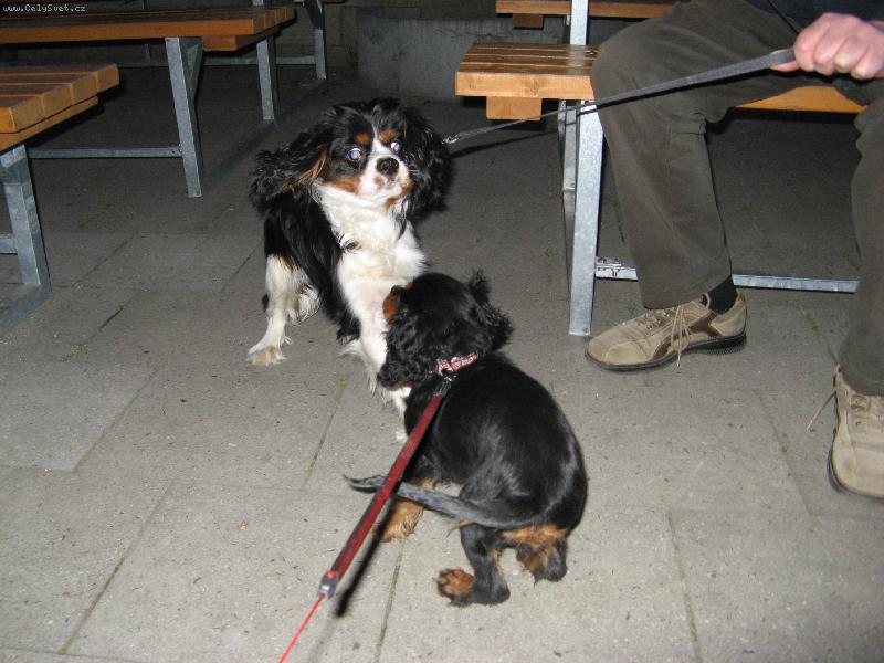 Foto: Ejmi-U� si na�la i �enicha!!!:D