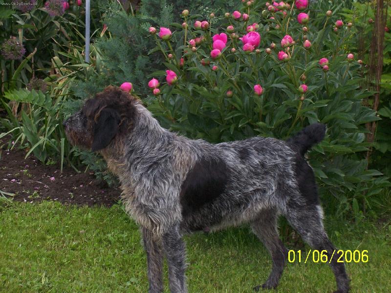 Foto: Gita Kenislej-�ern� b�lou�