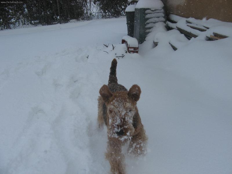 Foto: B�h sn�hem