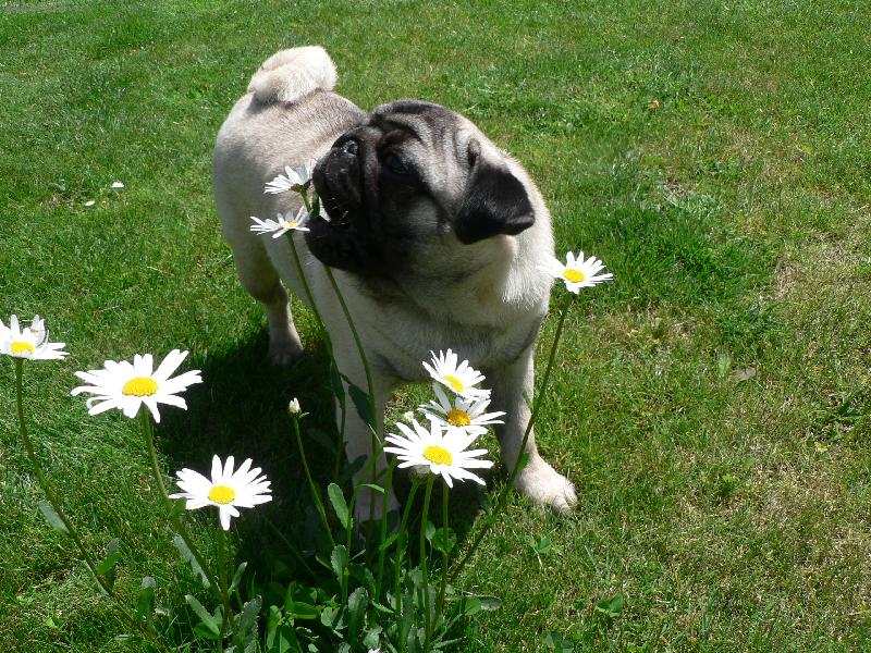 Foto: Bobinka