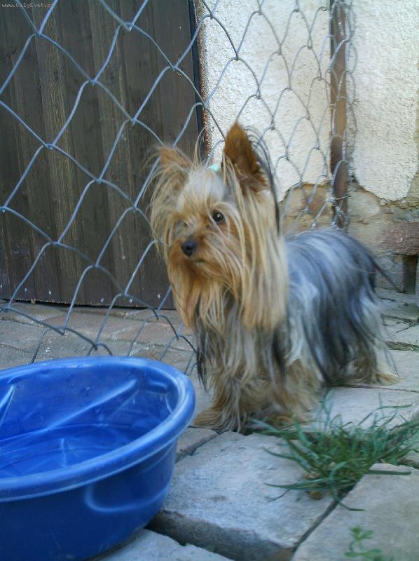 Foto: Monty-m�m dost vody?