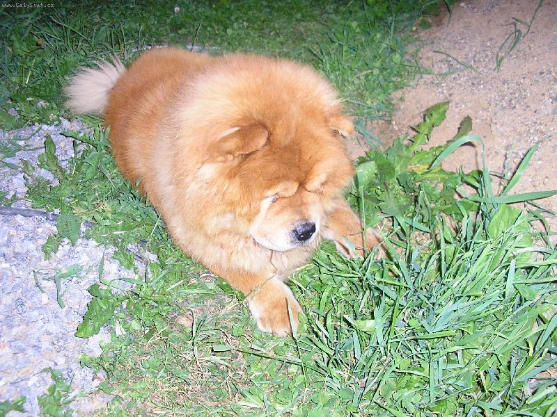 Foto: j� si po�k�m,a� vyleze�