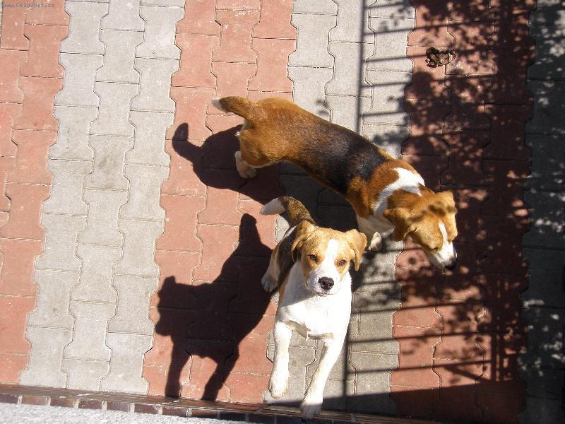 Foto: na�i mil��ci