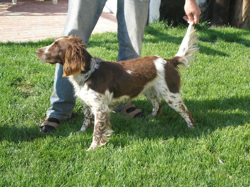 Foto: Arka z Lou�sk� paseky