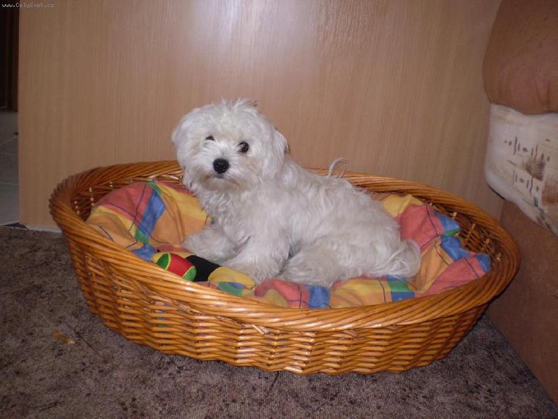 Foto: Monty