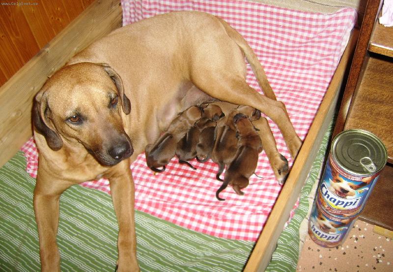 Foto: Dina s miminkama :)-:))