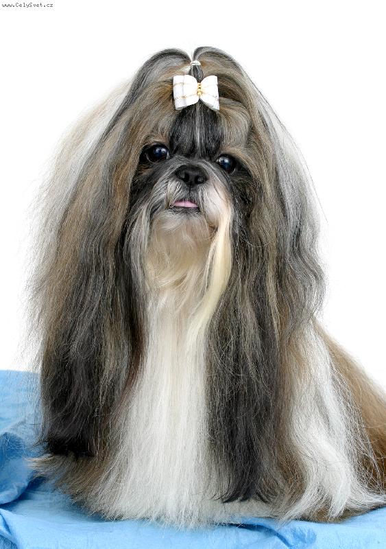 Foto: CH.Jeron Atrei