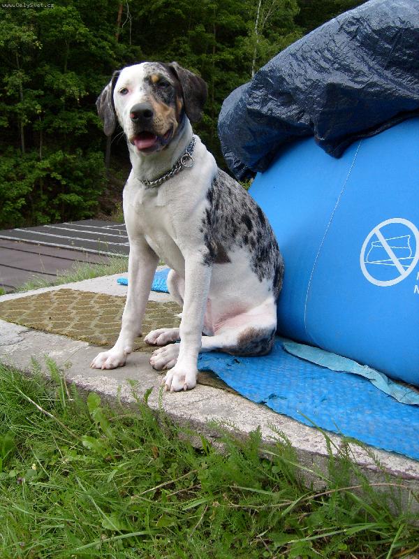 Foto: Arsa Araraquara-idilka