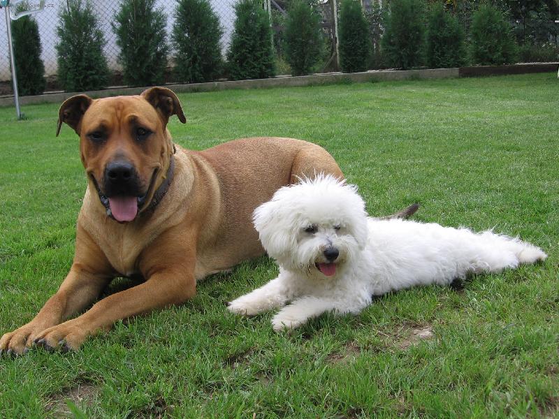 Foto: BEAUTY a S�RA-k�mo�ky