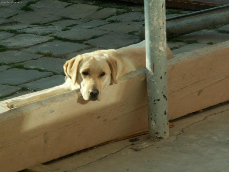 Foto: bellousek