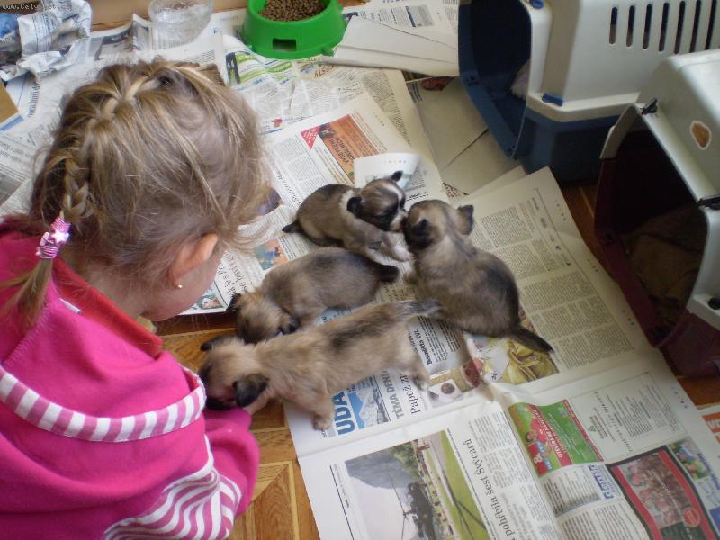 Foto: kul�ci