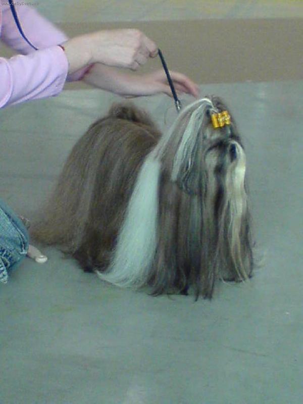 Foto: CH.Jeron Atrei