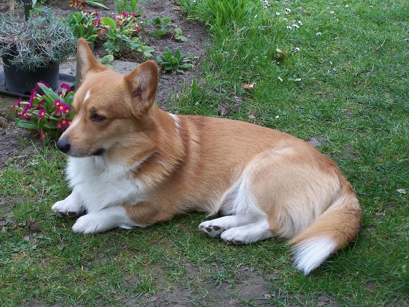 Foto: Max (Clinton Bugi Vugi)