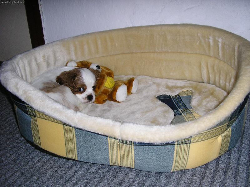 Foto: BIANCA-Binca odpo��v�