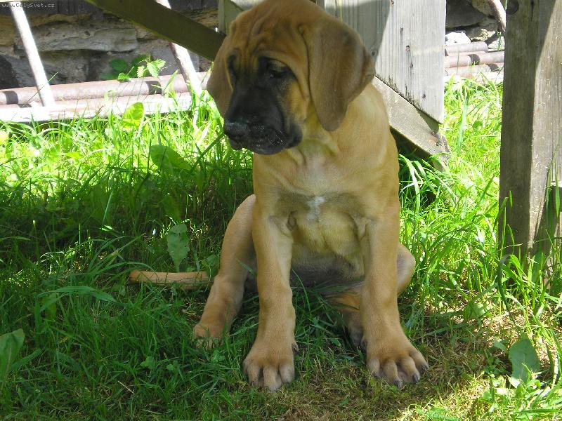 Foto: Baira Taik�-jsou mi 2 m�s�ce