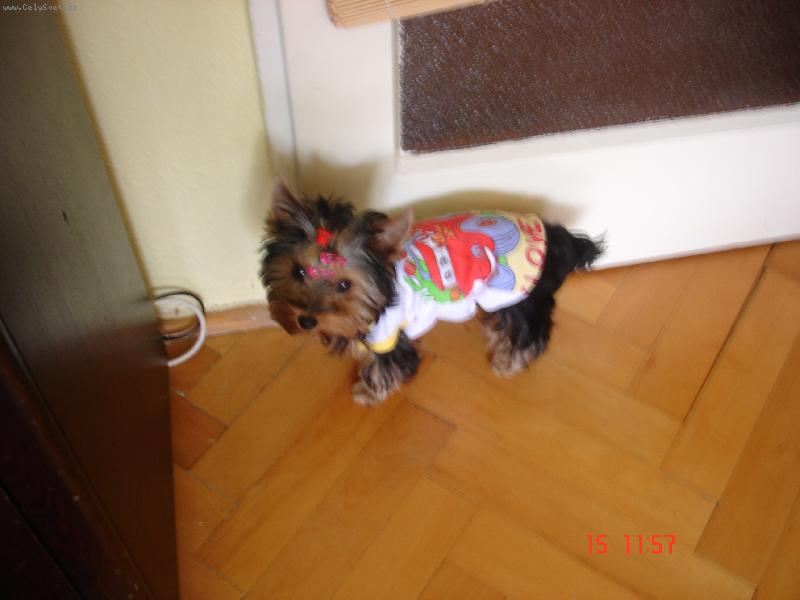 Foto: Mandynka-V OBLE�KU.