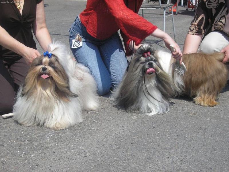 Foto: CH.Jeron Atrei