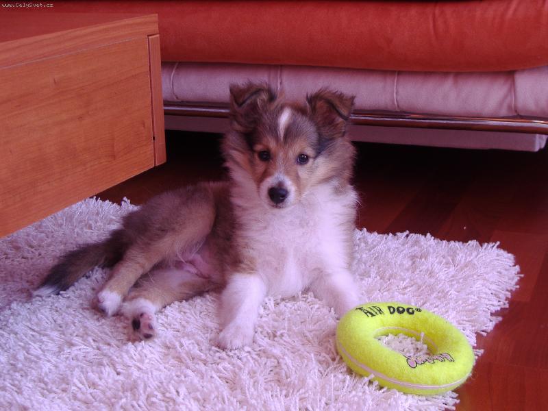 Foto: Ashley Chlupat� �t�st�