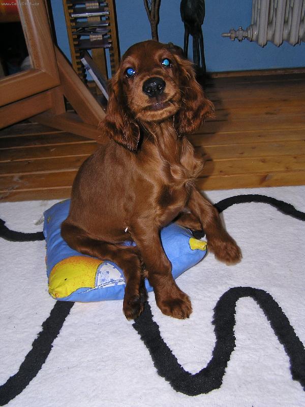 Foto: Scotty-M��em!:)