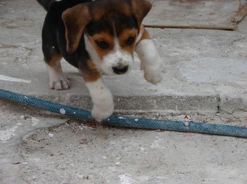 Foto: monty-skoky