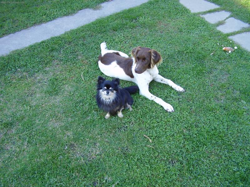 Foto: Timek a Sofij�nka